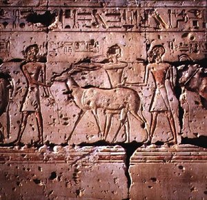 救済は、犠牲になるために行列で導かれているオリックスを描写しました 作： Egyptian 19th Dynasty