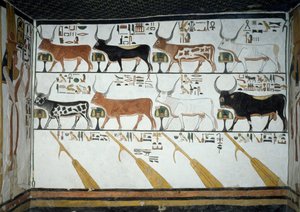 7頭の天牛、夫の雄牛、4本の操舵用オール、死者の書第148章、ルクソール、テーベの女王の谷、ネフェルタリの墓の第2室のフレスコ画の詳細。エジプト文明、新王国時代、第十九王朝。 作： Egyptian 19th Dynasty