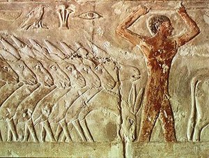 旧王国、メレルカのマスタバからのロバの軍隊（壁画）