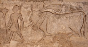 牛を引く男、ホルス神殿、エドフ 作： Egyptian Egyptian