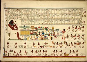 シェイク・ハッサンからベニ・ハッサンまでのビューなどからのエジプトの象形文字、アトラス・フォリオ（紙）