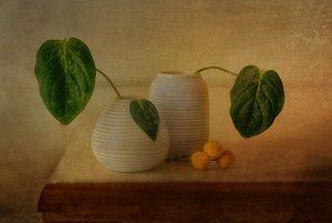 静謐な植物のアレンジメント 作： 