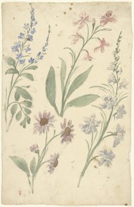 ピンクとブルーの花の 4 つの研究
