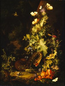 蛇のある静物、18世紀初頭 作： Elias van den Broeck