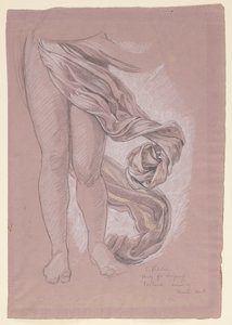 「運命」の勉強 作： Elihu Vedder