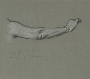1884-1887年、星に集まる運命の研究。 作： Elihu Vedder