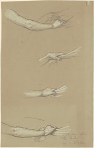 星に集う運命の習作、c. 1884～1887年。 作： Elihu Vedder