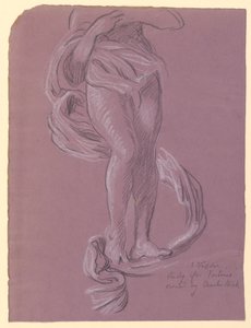 「運命」の研究 作： Elihu Vedder