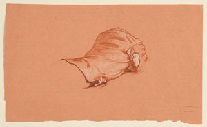 衣装を着た男性の胴体のドレープ研究 作： Elihu Vedder