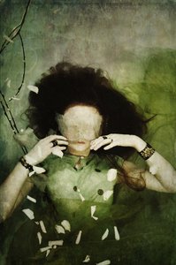 本当の自分を隠す、2013年（スクリーンプリント） 作： Elinleticia Högabo