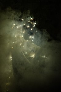 存在の軽さ 1, 2014（スクリーンプリント） 作： Elinleticia Högabo