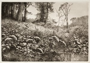 夏の午後 作： Elis F. Miller