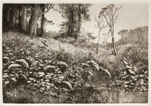 夏の午後、1882 年。 作： Elis F. Miller