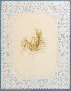海藻 作： Eliza A. Jordson