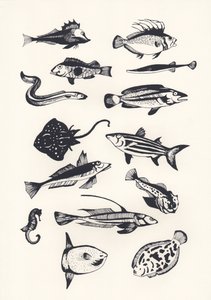 Monotone Plain Fish、2015年（スクリーンプリント） 作： Eliza Southwood