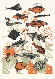 Orange Seaweed Fish、2015年（スクリーンプリント） 作： Eliza Southwood