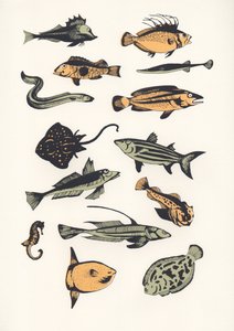 Plain Fish、2015年（スクリーンプリント） 作： Eliza Southwood