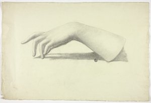 左前腕と手 作： Elizabeth Murray
