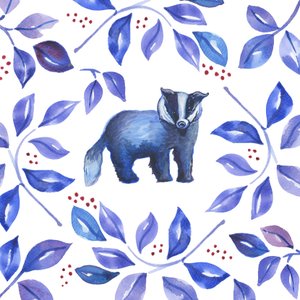 アナグマ、2018年（水彩）