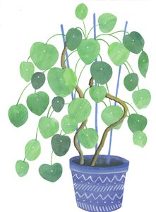 Pilea plant, 2017（水彩、コラージュ）