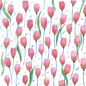 ピンクのチューリップ、2017年（水彩画）