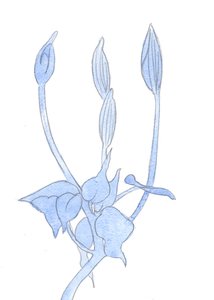 庭師はちょうどいいタイミングで芽が開くのを自信を持って待っているので、2002年の私の人生における神の働きの結実を待たなければなりません（紙にw - c） 作： Elizabeth Wang