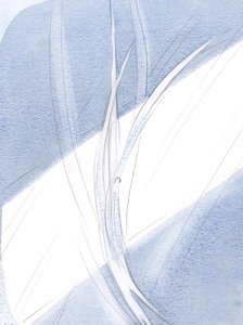 夕方の光の中で、それぞれの生き物は、その正当な場所でホバリングし、素晴らしい動きで、2000年の天国での天使の堂々としたダンスをエコーしました（紙にw - c） 作： Elizabeth Wang
