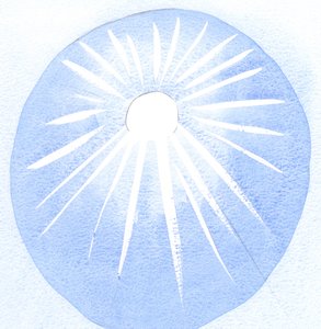 太陽に感謝する人はその熱と光に感謝するので、神を愛する人は神の意志も愛するべきです。、2001年（紙にw - c） 作： Elizabeth Wang
