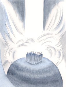 キリストを通して、天国の光は、2000年のすべてのミサで私たちを包み込みます（紙にw - c）