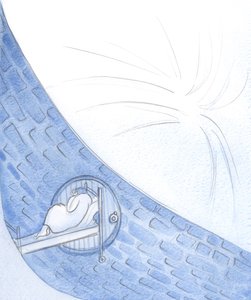 死が近づいているように見えたとき、私は信仰をもって、この世界の半減期から解放されるのを、神の光に通じる戸口を通って、2000年（紙にw - c）待った。 作： Elizabeth Wang
