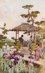 菖蒲園（カラーリソ）