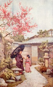 紅梅梅（カラーリソ）