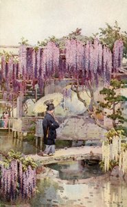 ウィスタリア、蒲田（カラーリトグラフ） 作： エラデュケイン