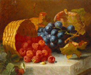 ラズベリーと大理石の棚にあるブドウの房のある静物、1882年 作： Eloise Harriet Stannard