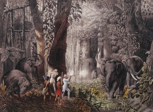 旅行...東インド、セイロン、ジャワ、中国、ベンガル 作： Emanuel Andrasy
