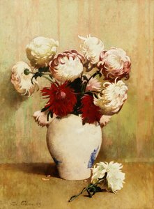 菊