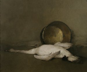 野生の白鳥、1902