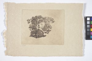 Puututkimus (muste) 作： Emil Carlsen