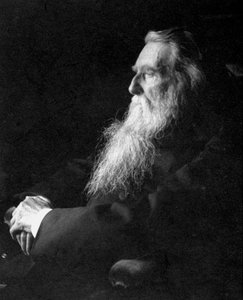 ジョン・ラスキン、英国の芸術家、詩人、評論家、c1897