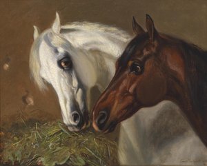 2頭の馬の頭