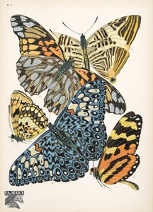 プレート 3、Butterflies から、パブ。 1925年（ステンシルプリント） 作： Émile Allain Séguy
