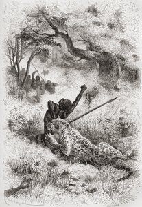 1878年に出版されたアンリテオフィルヒルディブランド（1824-97）によって刻まれた、「手の中の世界」のイラストを使ってアフリカを襲うヒョウ 作： Emile Antoine Bayard