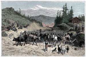 アルプス：ジョデルや出発する群れ（牛やヤギ）が牧草地に向かう様子。1881年に出版された『Les Montagnes d