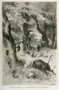 水牛のチャージを前にした遠征隊のデルーテ（エミール・バヤールが物語を説明するために描いたもの）。V.H.キャメロン中尉による、1872年から1876年にかけての、ザンジバル（タンザニア）からベンゲラ（アンゴラ）までのアフリカ横断旅行。Le tour du monde』に掲載された版画 作： Emile Antoine Bayard