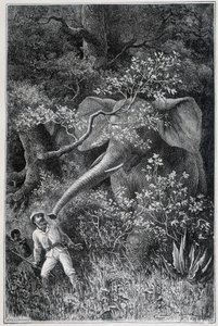 "Le Tour du Monde "で象に驚くリビングストン 作： Emile Antoine Bayard