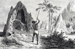 シロアリの網、シロアリ（彫刻）