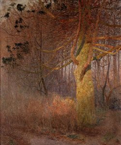  作： Emile Claus