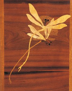 トンボ、アール・ヌーヴォー様式のキャビネットの細部、1900年頃、エミール・ガレ（1846-1904）作、彫刻と象眼細工が施されたウォールナット、フランス、20世紀 作： Emile Galle