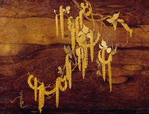植物をモチーフにした象嵌細工 エミール・ガレ（1846-1904）作 アールヌーボー様式ネストテーブル（1900年頃） ディテール フランス 20世紀 作： Emile Galle