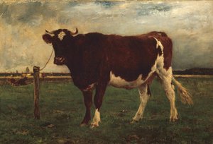 牛の習作、187090。